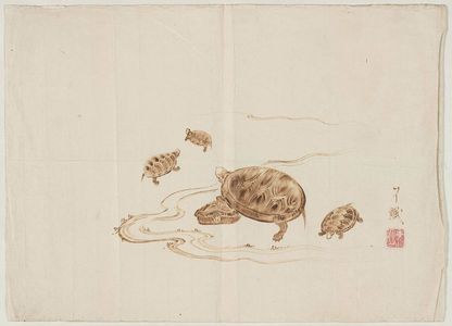 Ryominによる浮世絵「Turtles」
