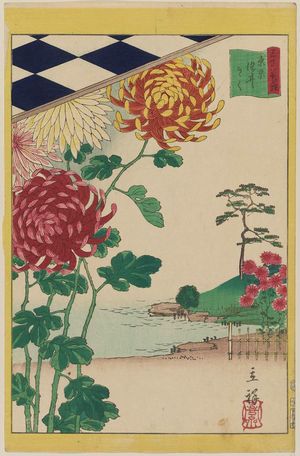 Utagawa Hiroshige II: 「三十六花撰」「東京染井きく」 「三十二 