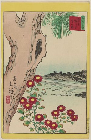 日本版画 "Wild Chrysanthemums at Yanagishima in Tokyo (Tôkyô Yanagishima nogiku), from the series Thirty-six Selected Flowers (Sanjûrokkasen)" 由 Utagawa Hiroshige II, 二歌川広重 (Utagawa Hiroshige II (Shigenobu)) 创作