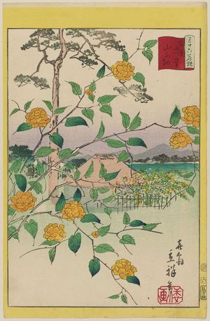 Utagawa Hiroshige II: Kerria Roses at Yamabuki Village in Tokyo (Tôkyô Yamabuki no sato yamabuki), from the series Thirty-six Selected Flowers (Sanjûrokkasen) - Museum of Fine Arts