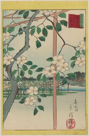 Utagawa Hiroshige II: Pear Blossoms at Rokuroku in the Eastern Capital (Tôto Rokuroku nashi), from the series Thirty-six Selected Flowers (Sanjûrokkasen) - Museum of Fine Arts