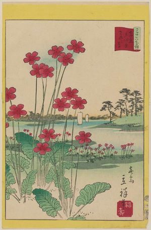 二歌川広重: Primrose at Todahara in Tokyo (Tôkyô Todahara sakuragusa), from the series Thirty-six Selected Flowers (Sanjûrokkasen) - ボストン美術館