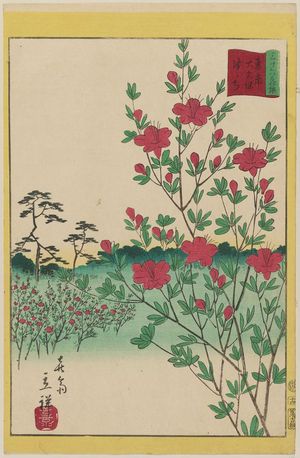 二歌川広重: Azaleas at Ôkubo in Tokyo (Tôkyô Ôkubo tsutsuji), from the series Thirty-six Selected Flowers (Sanjûrokkasen) - ボストン美術館