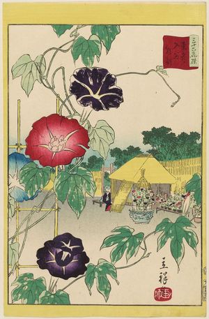 Utagawa Hiroshige II: Morning Glories at Iriya in the Eastern Capital (Tôto Iriya asagao), from the series Thirty-six Selected Flowers (Sanjûrokkasen) - Museum of Fine Arts