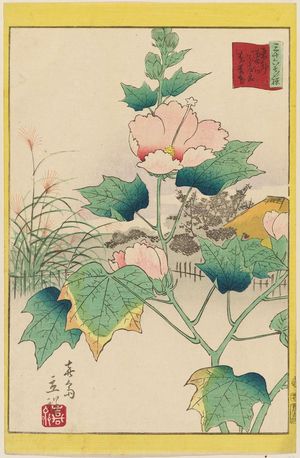 二歌川広重: Hibiscus in the Flower Garden [at Mukôjima] on the Sumida River in the Eastern Capital (Tôto Sumidagawa hana yashiki fuyô-bana), from the series Thirty-six Selected Flowers (Sanjûrokkasen) - ボストン美術館