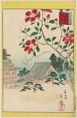 Utagawa Hiroshige II: Camellia at Horinouchi in the Eastern Capital (Tôto Horinouchi sazanka), from the series Thirty-six Selected Flowers (Sanjûrokkasen) - Museum of Fine Arts