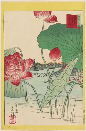 Utagawa Hiroshige II: Lotuses at Shinobazu Pond in Tokyo (Tôkyô Shinobazu ike renge), from the series Thirty-six Selected Flowers (Sanjûrokkasen) - Museum of Fine Arts
