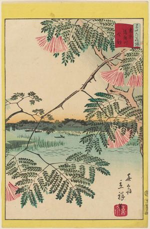 Utagawa Hiroshige II: Mimosa at the Ayase River in Tokyo (Tôkyô Ayasegawa nemu), from the series Thirty-six Selected Flowers (Sanjûrokkasen) - Museum of Fine Arts