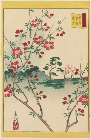 Utagawa Hiroshige II: Aronia at Sugamo in the Eastern Capital (Tôto Sugamo kaidô), from the series Thirty-six Selected Flowers (Sanjûrokkasen) - Museum of Fine Arts