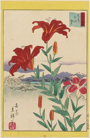 二歌川広重: Lilies at Senju in the Eastern Capital (Tôto Senju yuri), from the series Thirty-six Selected Flowers (Sanjûrokkasen) - ボストン美術館
