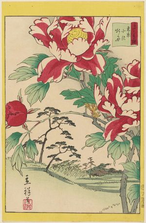 Utagawa Hiroshige II: Peonies at Kitazawa in Tokyo (Tôkyô Kitazawa botan), from the series Thirty-six Selected Flowers (Sanjûrokkasen) - Museum of Fine Arts