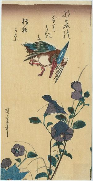 歌川広重: Kingfisher and Bellflowers - ボストン美術館