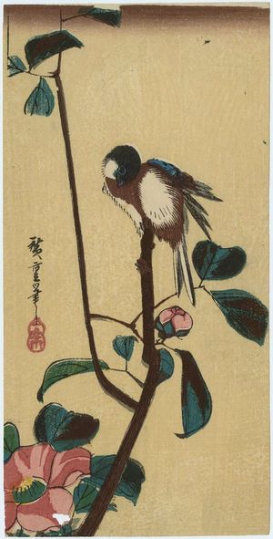 歌川広重: Bird on Camellia Branch - ボストン美術館