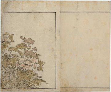 Kitao Shigemasa: Bellflowers and Peonies, floral endpaper from the book Mirror of Beautiful Women of the Green Houses (Seirô bijin awase sugata kagami) - Museum of Fine Arts