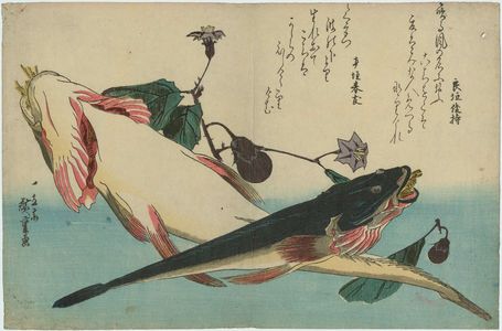 Utagawa Hiroshige: Flatheads and Eggplant, from an untitled series known as Large Fish - Museum of Fine Arts