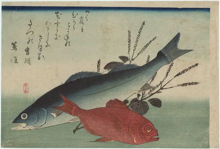 Utagawa Hiroshige: Sea Bass, Golden-eyed Sea Bream, and Shiso, from an untitled series known as Large Fish - Museum of Fine Arts