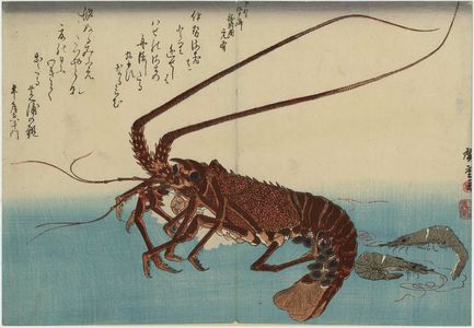 Utagawa Hiroshige: Lobster and Shrimp, from an untitled series known as Large Fish - Museum of Fine Arts