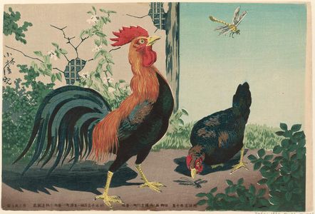 Kobayashi Kiyochika: Chickens and Dragonfly - Museum of Fine Arts