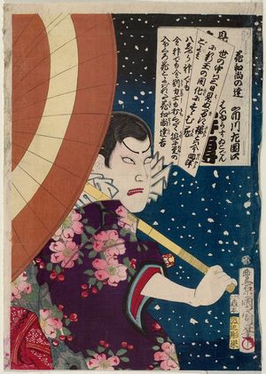 Toyohara Kunichika: Actor Ichikawa Sadanji - Museum of Fine Arts