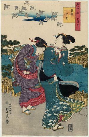 歌川貞秀: The Jewel River of Plovers in Mutsu Province (Mutsu chidori), from the series Contest of Famous Places: The Six Jewel Rivers (Meisho awase Mu Tamagawa) - ボストン美術館