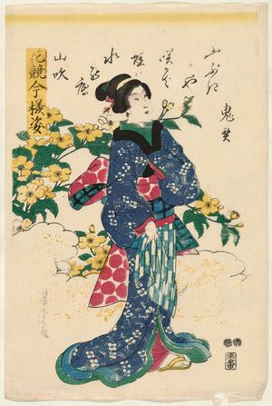 歌川芳虎: Kerria Roses (Yamabuki), from the series Modern Figures in a Contest of Flowers (Hana kurabe imayô sugata) - ボストン美術館