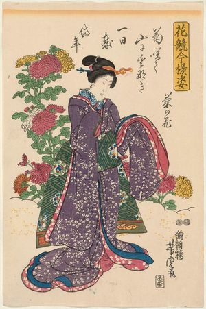 Utagawa Yoshitora: Chrysanthemums (Kiku no hana), from the series Modern Figures in a Contest of Flowers (Hana kurabe imayô sugata) - Museum of Fine Arts