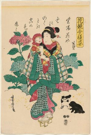 Utagawa Yoshitora: Hydrangea (Ajisai), from the series Modern Beauties Compared to Flowers (Hana kurabe imayô sugata) - Museum of Fine Arts