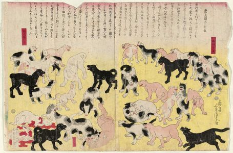 Utagawa Yoshitora: Dogs - Museum of Fine Arts