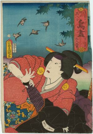 歌川国貞: from the series A Collection of Birds (Tori zukushi) - ボストン美術館