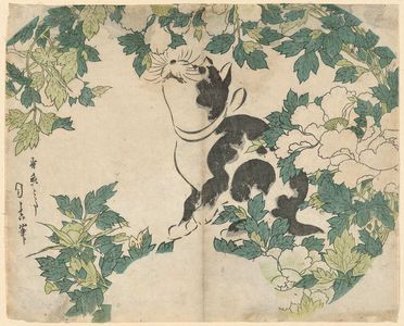 Japanese Print "Cat and Peonies" by Gekkitsu