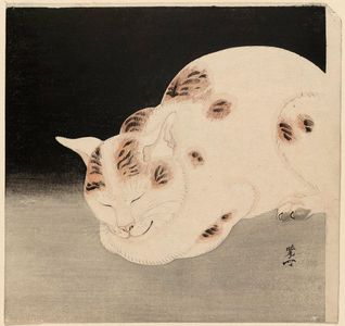 Kawanabe Kyosai: Sleeping Cat - Museum of Fine Arts