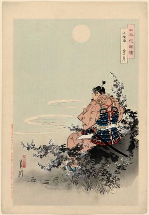 尾形月耕: Kozakura odoshi. Yushizuki (Cherry pattern plate binding of armor. The Hero's Month). Series: Nippon Hana Zue (Flowers of Japan, Illustrated) - ボストン美術館