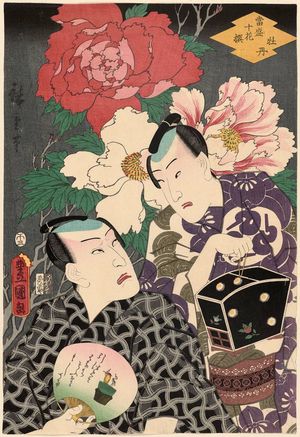 歌川国貞: Peony (Botan), from the series Selection of Ten Flowers Currently in Full Bloom (Tôsei jû kasen) - ボストン美術館