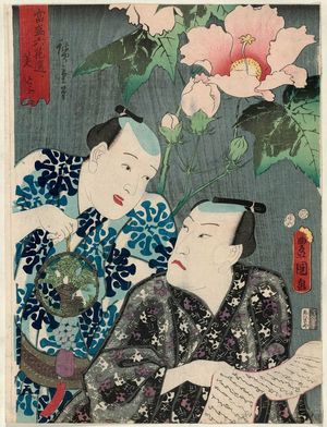 Utagawa Kunisada: Hibiscus (Fûyô): Actors Kataoka Gadô II and Ôtani Tokuji II, from the series Selection of Six Flowers Currently in Full Bloom (Tôsei rokkasen) - Museum of Fine Arts