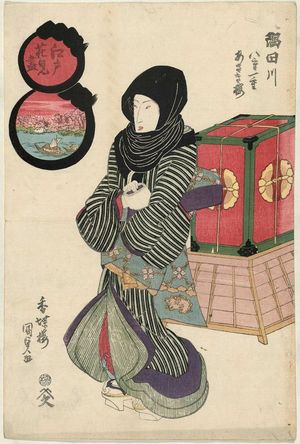 歌川国貞: Edo hanami zukushi - ボストン美術館