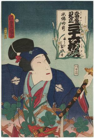 歌川国貞: (Suizen tanzen): (Actor Bandô Mitsugorô VI as) Nagauta ..., from the series Popular Matches for Thirty-six Selected Flowers (Tôsei mitate sanjûroku kasen) - ボストン美術館