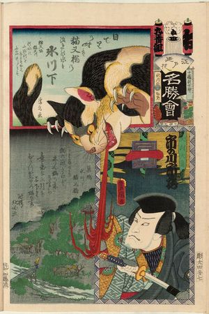 歌川国貞: Nekomatabashi: Actor Ichinokawa Ichizô as Inumura Daikaku, from the series Flowers of Edo and Views of Famous Places (Edo no hana meishô-e) - ボストン美術館