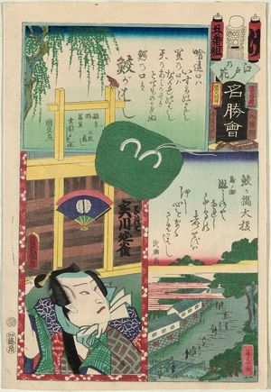 歌川国貞: Samegahashi: Actor Jitsukawa Enjaku, from the series Flowers of Edo and Views of Famous Places (Edo no hana meishô-e) - ボストン美術館