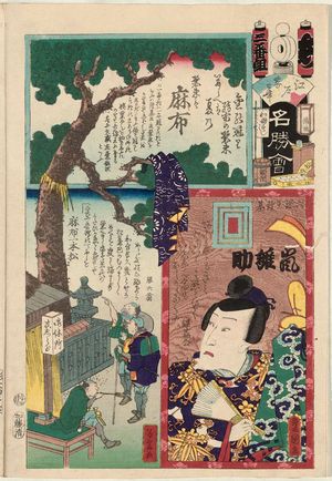 歌川国貞: Azabu: Actor Arashi Hinasuke, from the series Flowers of Edo and Views of Famous Places (Edo no hana meishô-e) - ボストン美術館