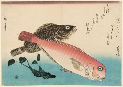 Utagawa Hiroshige: Sweet Sea Bream, Mebaru, and Horseradish, from an untitled series known as Large Fish - Museum of Fine Arts