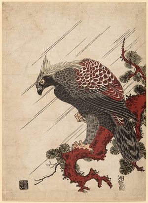 Isoda Koryusai: Eagle on a Pine Branch in the Rain - Museum of Fine Arts