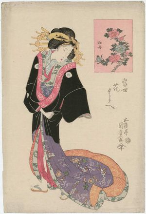 歌川国貞: Peony (Botan), from the series Contest of Modern Flowers (Tôsei hana kurabe) - ボストン美術館