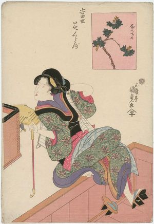歌川国貞: Nandina (Nanten), from the series Contest of Modern Flowers (Tôsei hana kurabe) - ボストン美術館