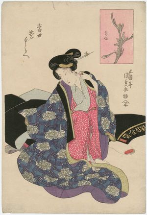 Utagawa Kunisada: Narcissus (Suisen), from the series Contest of Modern Flowers (Tôsei hana kurabe) - Museum of Fine Arts