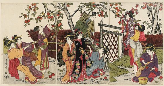 Kitagawa Utamaro: Picking Persimmons (Kaki-mogi) - Museum of Fine Arts