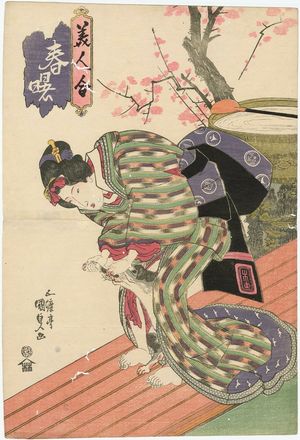 Utagawa Kunisada: Woman Playing with Cat, from the series Spring Dawn: A Contest of Beauties (Haru no akebono, bijin awase) - Museum of Fine Arts