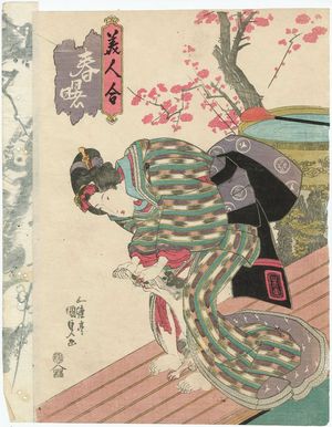 歌川国貞: Woman Playing with Cat, from the series Spring Dawn: A Contest of Beauties (Haru no akebono, bijin awase) - ボストン美術館