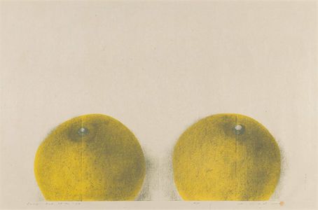 Noda Tetsuya: Diary: February 28th, 1994 (b), Two Melons - Museum of Fine Arts