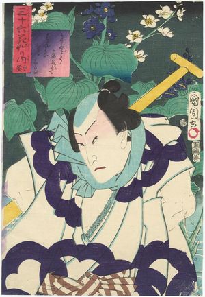 Toyohara Kunichika: from the series Thirty-six Selected Flowers and Grasses (Sanjûrokkasô no uchi) - Museum of Fine Arts