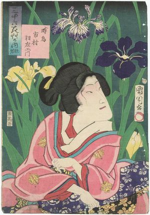 豊原国周: from the series Thirty-six Selected Flowers and Grasses (Sanjûrokkasô no uchi) - ボストン美術館